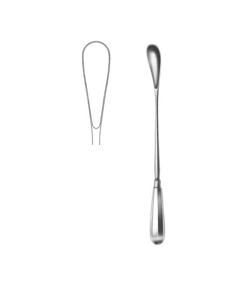 Placenta Scoop #8